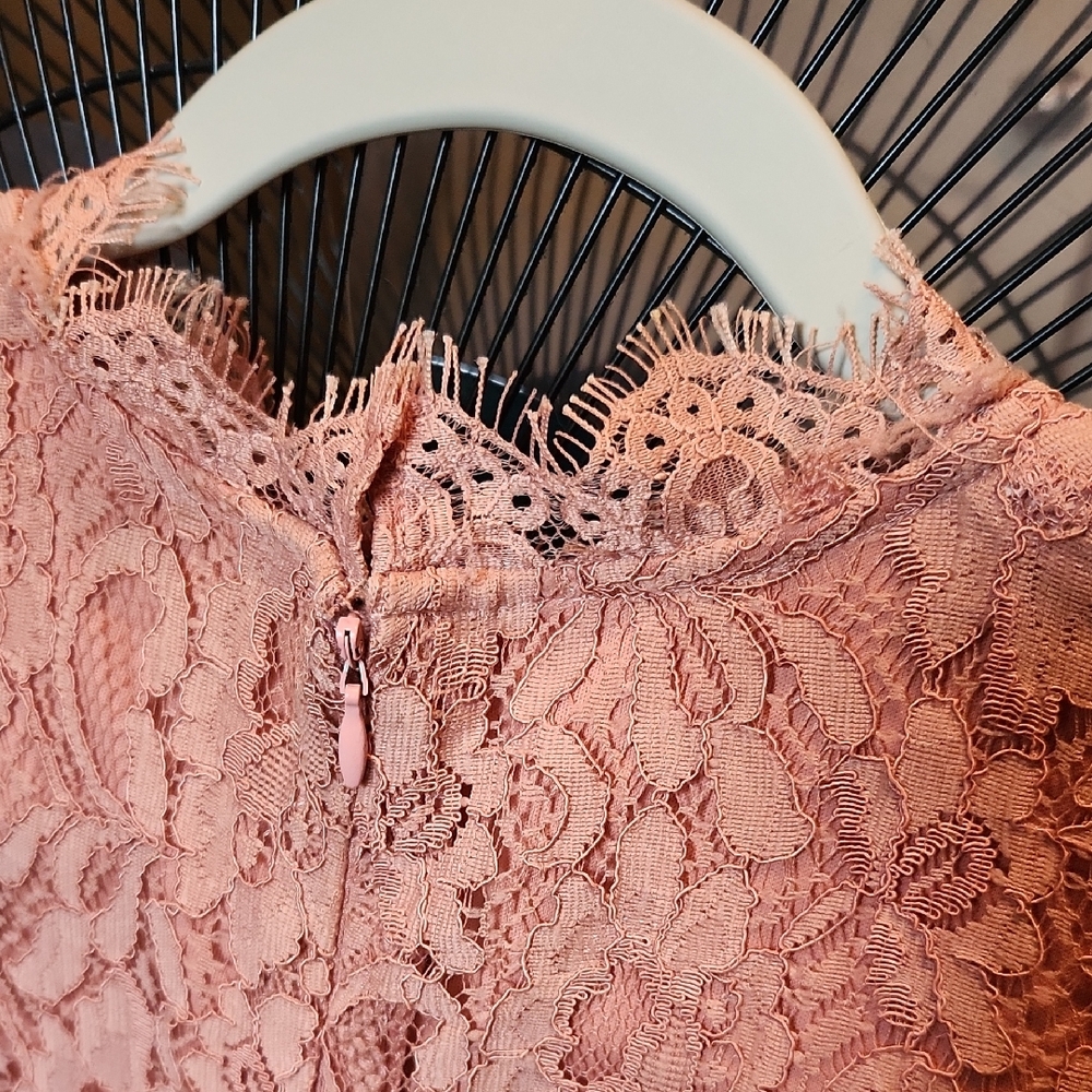 Delicate Dusty Pink Lace Dress Size S - Picture 5 of 16
